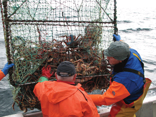 Figur 2.8 Foto: Terje Førsund