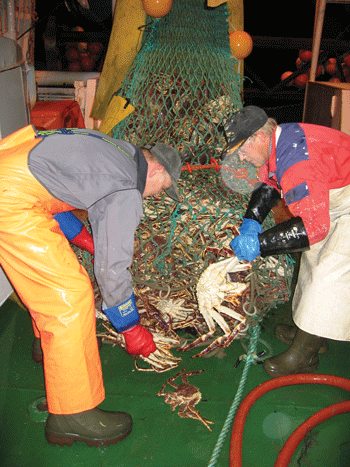 Figur 3.14 Foto: Havforskningsinstituttet