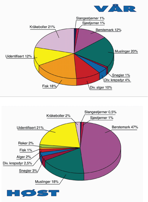 Figur 3.4 Mageinnhold hos kongekrabbe i Varangerfjorden