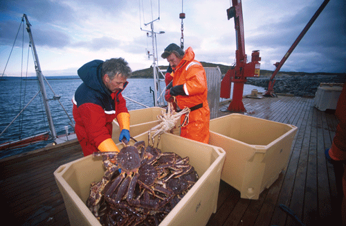 Figur 4.14 Foto: Per Eide. Rettigheter: Eksportutvalget for fisk