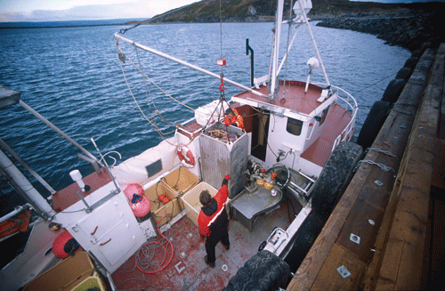 Figur 9.1 Foto: Per Eide. Rettigheter: Eksportutvalget for fisk