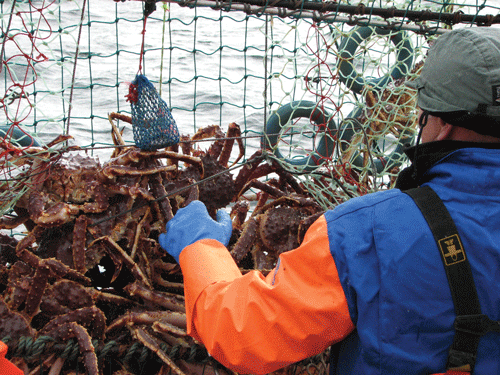 Figur 9.3 Foto: Terje Førsund