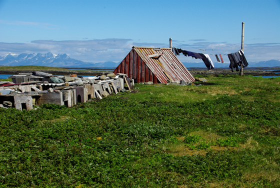 Bilde av gamle hus på Vegaøyan.