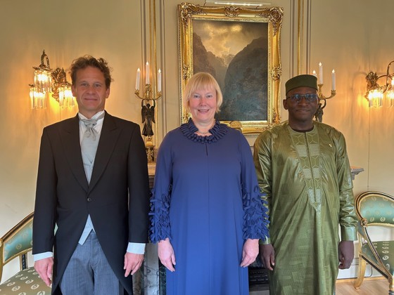 Bilde av ambassadører stående