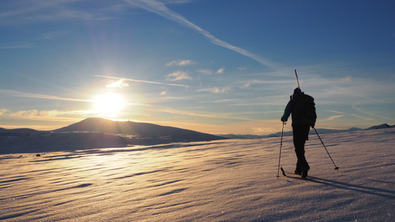 Jeger på ski - Raudfjellet i Rana.
