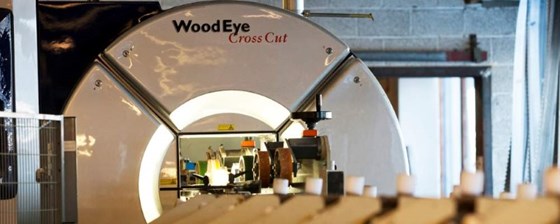 Maskinen WoodEye ser ut som en MR-maskin og kan se inn i trestammer