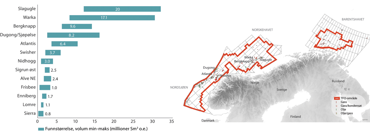 Figur 5.6 Nye funn i 2020, mill. Sm3 o.e.
