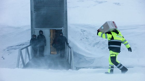 Five gene banks and research centers on four continents deposited seeds for this year's fifth and final opening of the Svalbard Global Seed Vault. A total of 10,060 new seed samples, from gene banks in Asia, Africa, South America and Europe, were placed in storage.