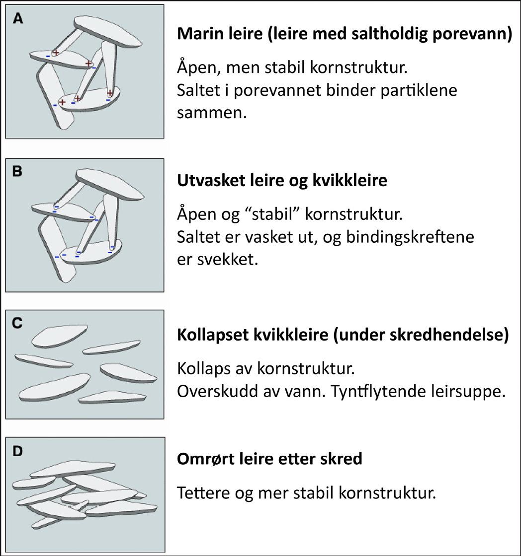 Kornstruktur i kvikkleire før og etter et skred. Figur modifisert etter (Reite, Sveian, & Erichsen, 1999).