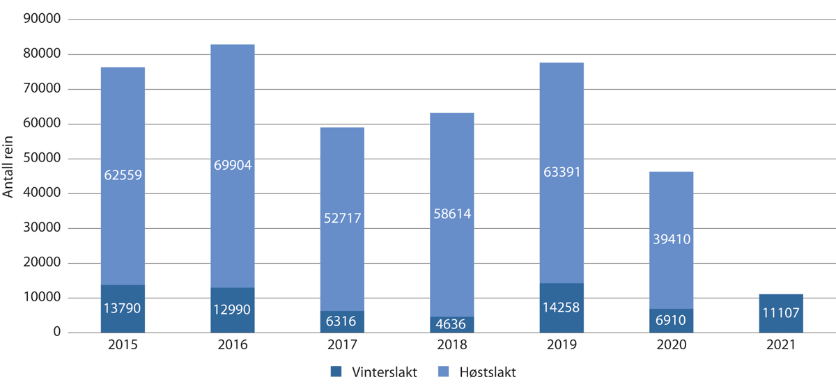 Figur 5.8 Antall slakt til slakteri per kalenderår 2015-2021, fordelt på høst- og vinterslakt
.