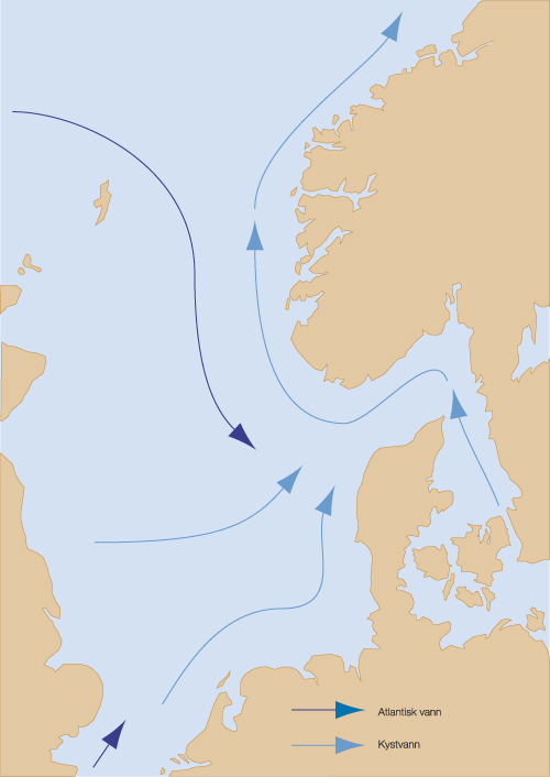 Figur 7.2 Oversikt over havstrømmene fra sørlige del
 av Nordsjøen og Kattegat til Skagerrak