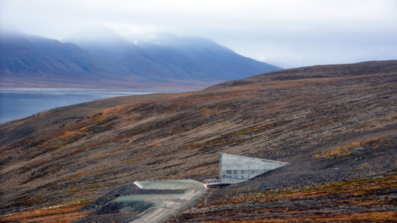 Svalbard Globale frøhvelv. 