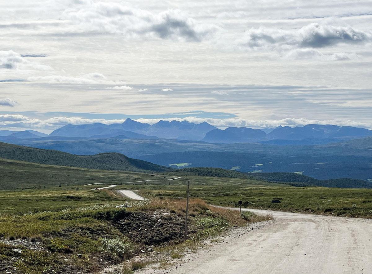 Foto: Kristin Gansmo Brennda, Norsk villreinsenter