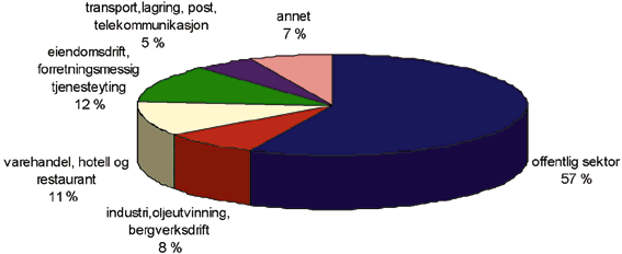 Figur 6.36 Veksten i antall personer med høyere utdanning fra 1976 til 1995 fordelt på sektorer og næringer