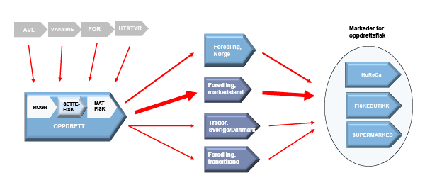 Figur 11.3 Verdikjede oppdrett.