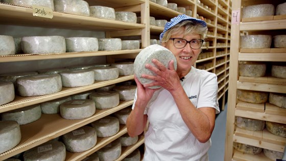 Mattilsynet sin ferske rapport viser at lokalmatprodusenter som lager ost og andre melkeprodukter har rutiner som gir god mattrygghet.