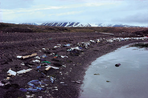 Figur 6.7 Søppel på Svalbards strender
