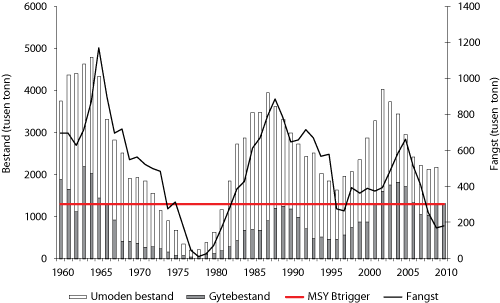 Figur 4.10 Utviklinga av bestand og fangst av nordsjøsild 1960 – 2010. Fangst og bestand i 2010 er prognosar.