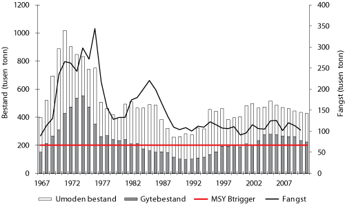 Figur 4.12 Utviklinga i bestand og fangst av sei i Nordsjøen og vest av Skottland. Tala for fangst og bestand i 2010 og 2011 er prognosar. 