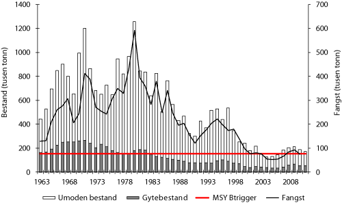 Figur 4.13 Utviklinga i bestand og fangst av torsk i Nordsjøen. Tala for fangst og bestand i 2010 og 2011 er prognosar