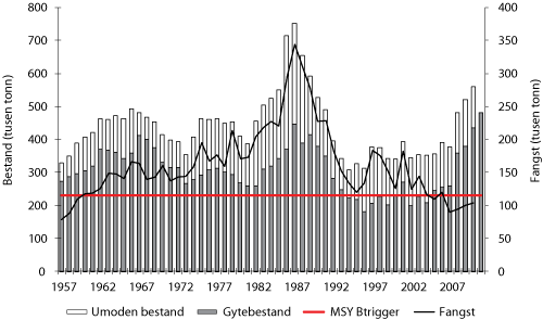 Figur 4.16  Utviklinga i bestand og fangst av raudspette i Nordsjøen. Tala for fangst og gytebestand i 2010 og 2011 er prognosar. 