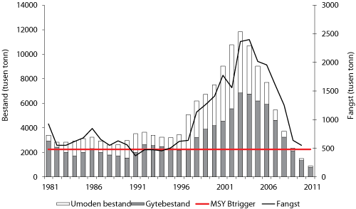 Figur 4.17  Utviklinga i bestand og fangst av kolmule. Tala for fangst og gytebestand i 2010 og 2011 er prognosar.