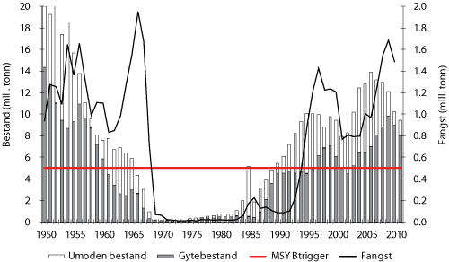 Figur 4.9 Utviklinga av bestand og fangst av NVG-sild 1950 – 2011 