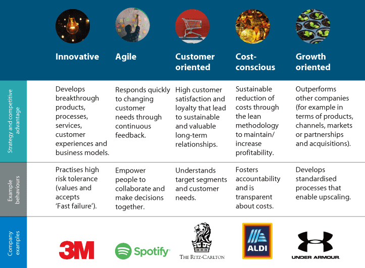 Figure 10.4 Different cultures that supports the company’s strategy.
