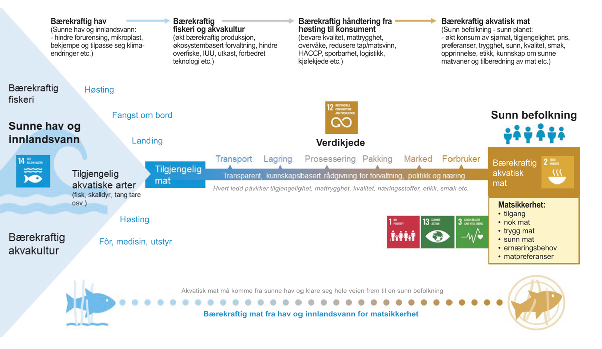 Figur 2.11 Mat frå havet og matsikkerheitsarbeid.