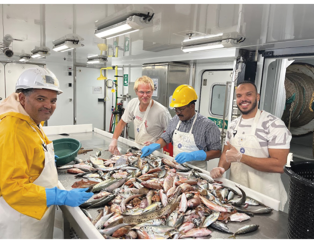 Figur 2.5 Stor artsrikdom i fangsten på tokt utanfor Nordvest-Afrika.