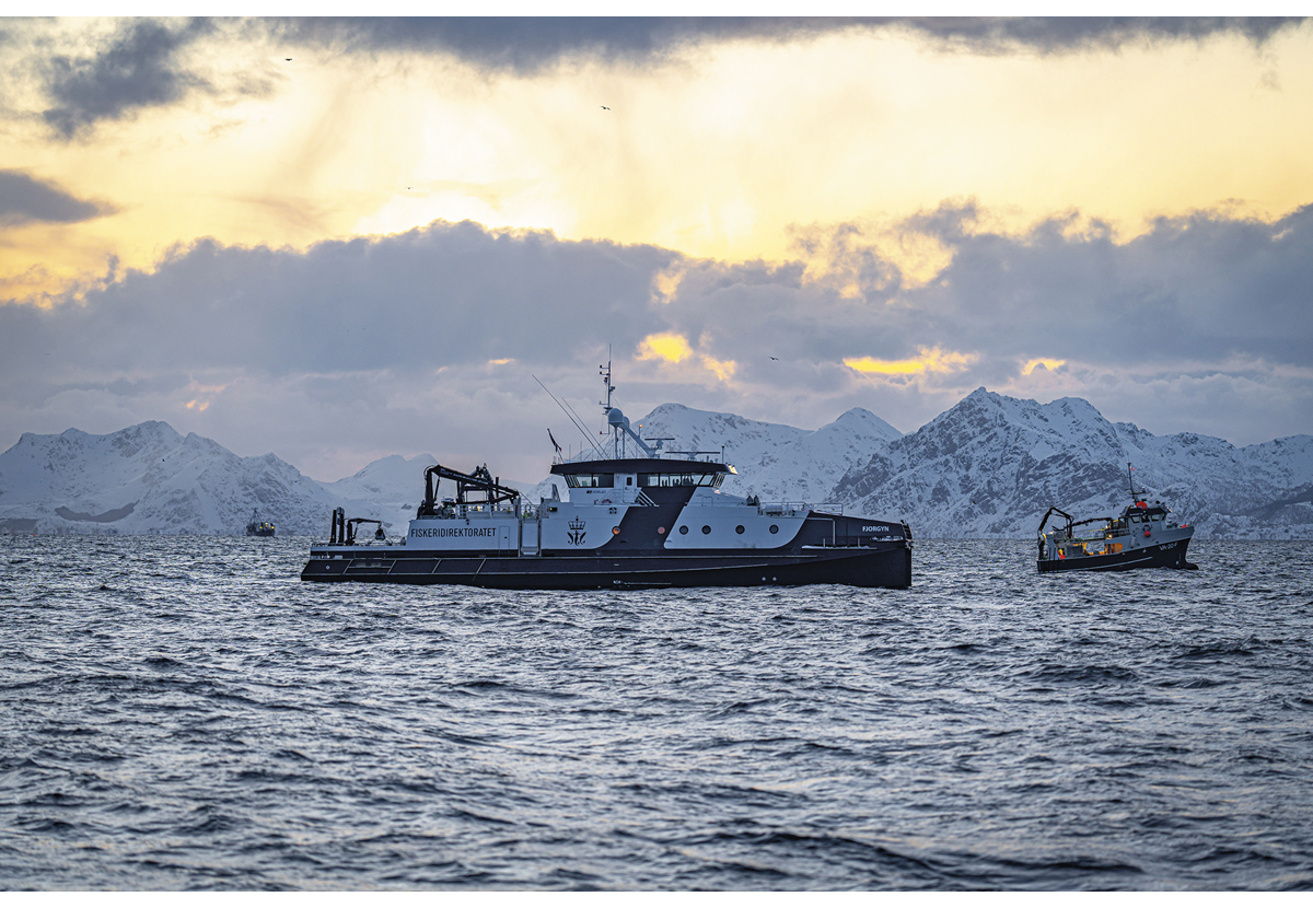 Figur 2.7 Fiskeridirektoratets fartøy «Fjorgyn» på kontroll på snurrevadfisket i Lofoten.
