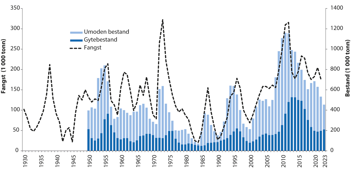 Figur 4.10 Utviklinga i bestand og fangst av nordaustarktisk hyse.