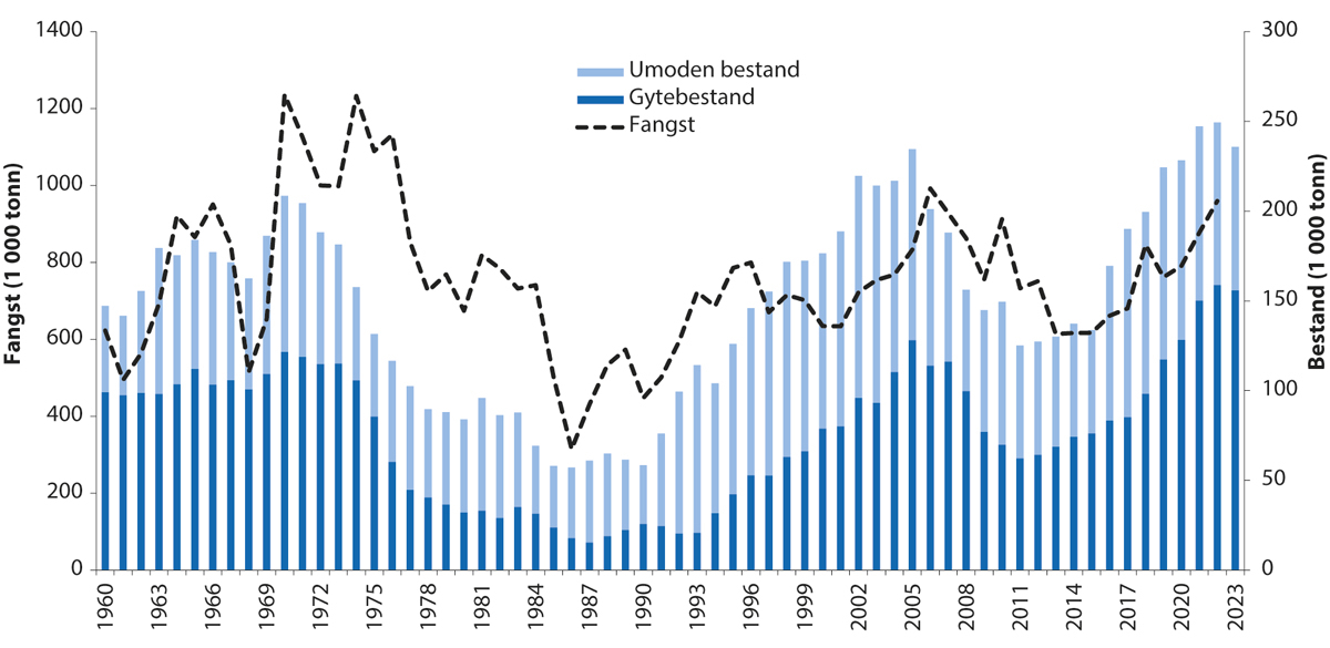 Figur 4.13 Utviklinga i bestand og fangst av nordaustarktisk sei.