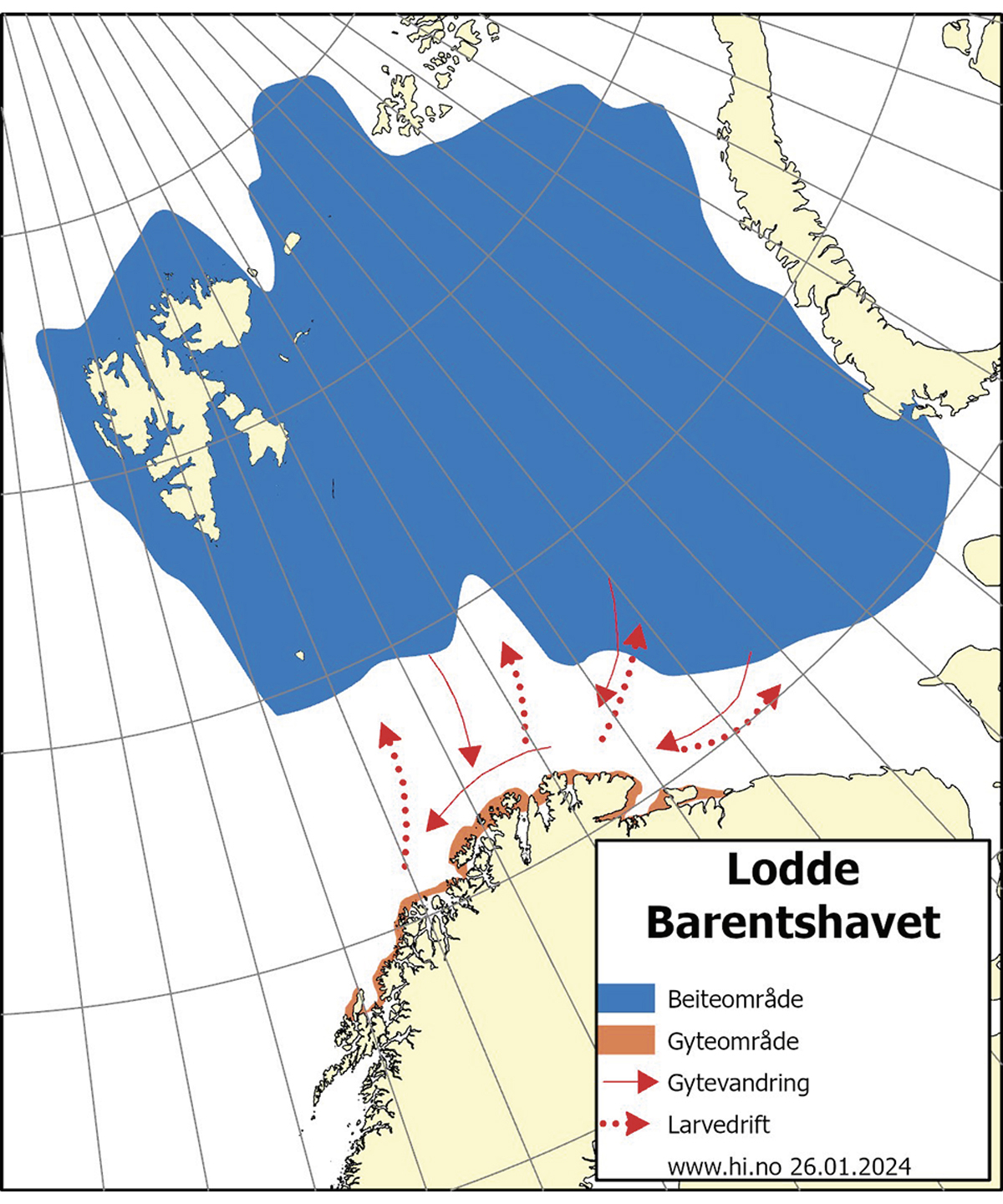 Figur 4.21 Utbreiingsområde og gyteområde for lodde i Barentshavet.