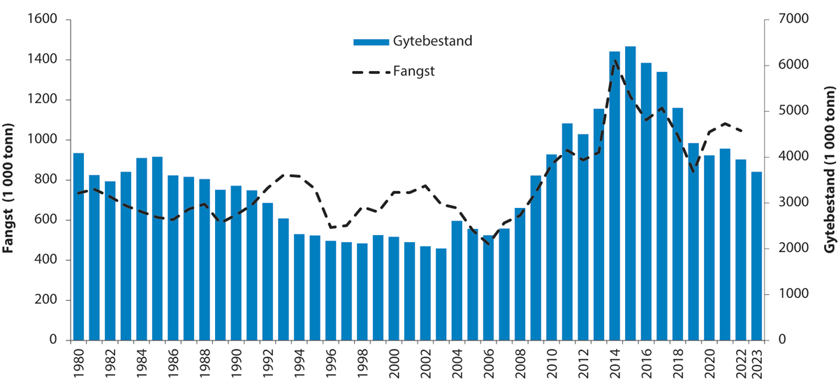Figur 4.31 Utviklinga i bestand og fangst av nordaustatlantisk makrell.