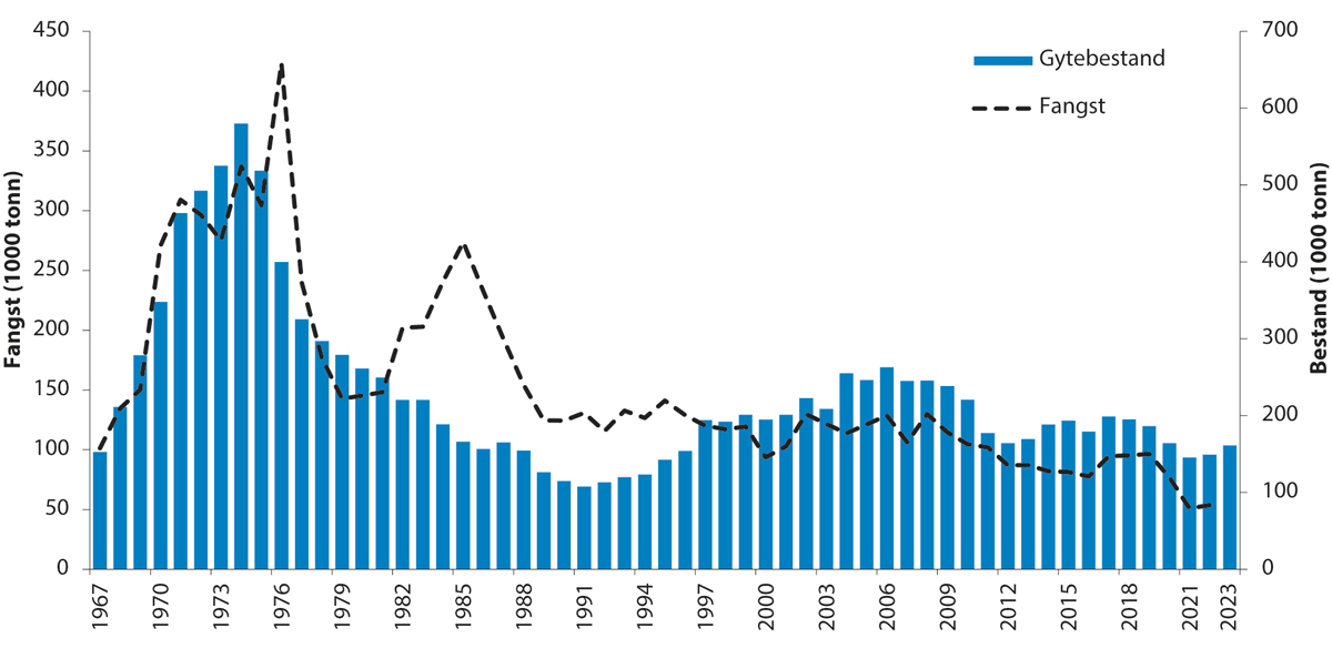 Figur 4.43 Utviklinga i bestand og fangst av sei i Nordsjøen, Skagerrak og vest av Skottland.