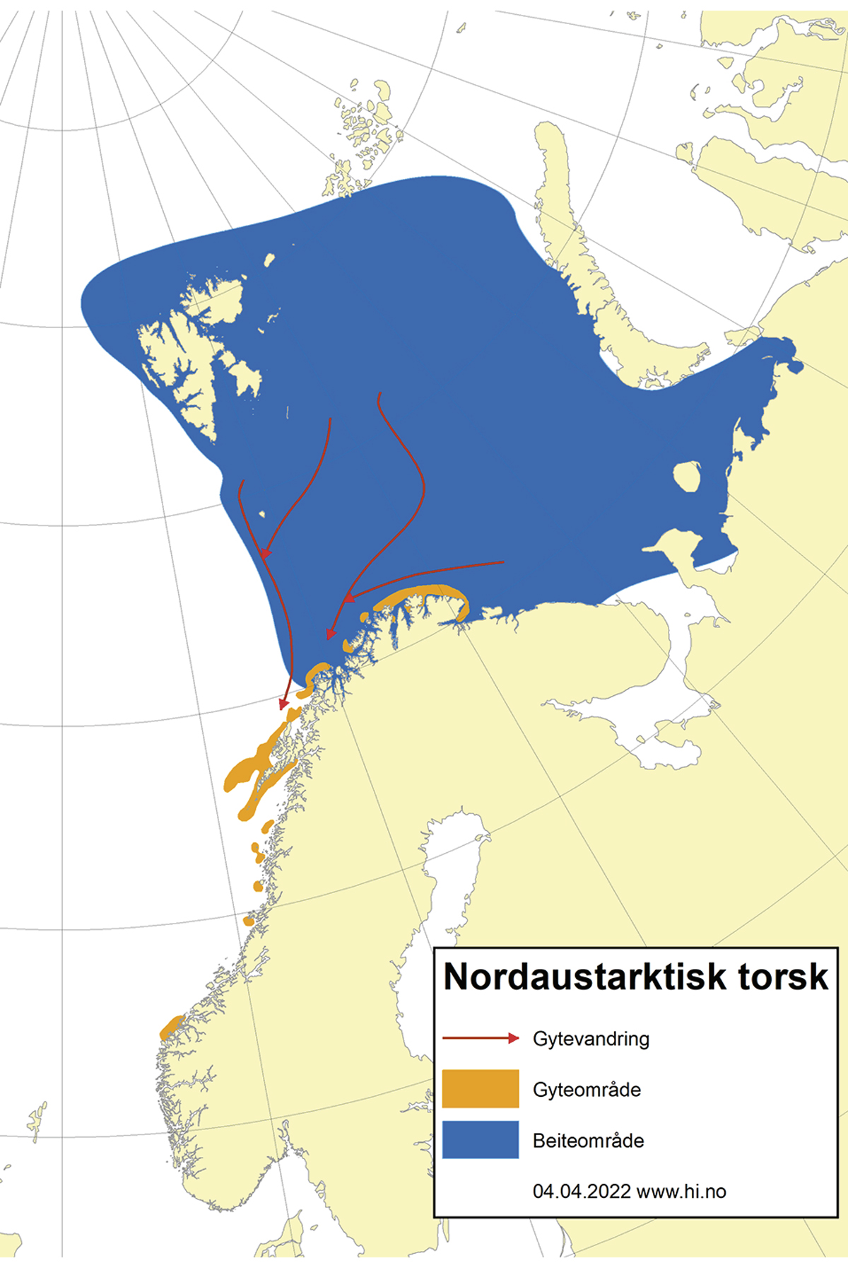 Figur 4.6 Utbreiingsområde og gyteområde for nordaustarktisk torsk.