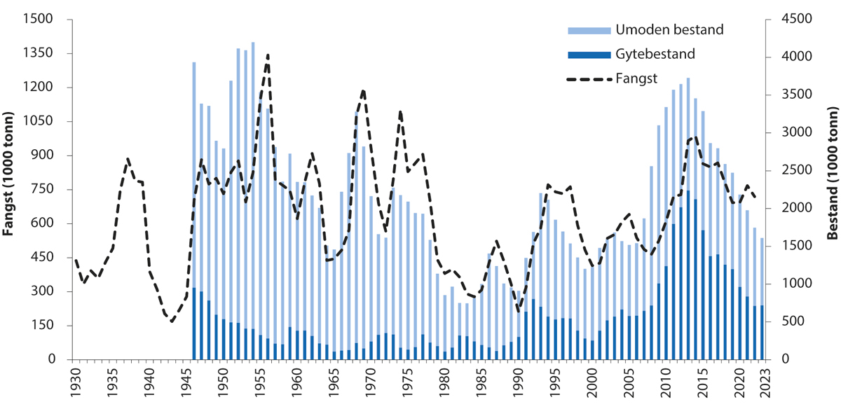 Figur 4.7 Utviklinga i bestand og fangst av nordaustarktisk torsk.