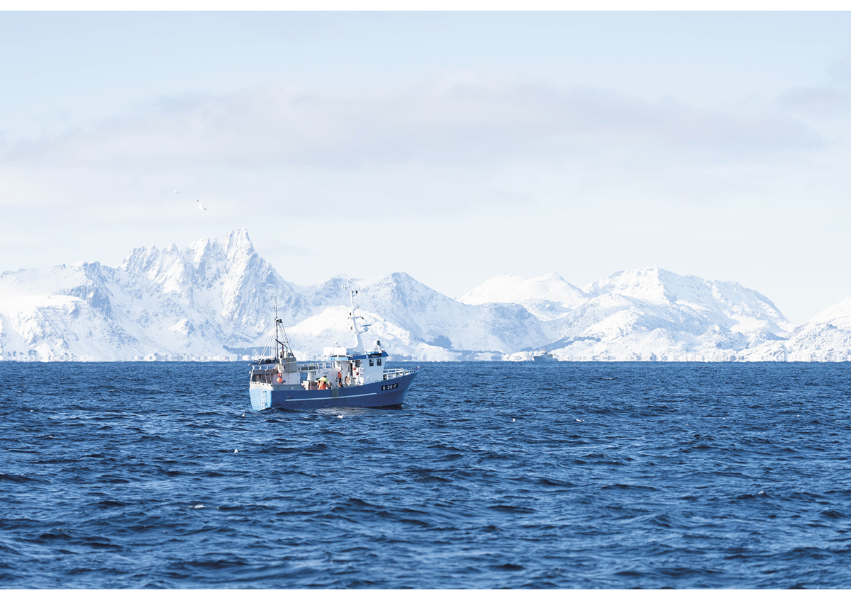 Figur 5.12 Fartøy på lofotfiske i Vestfjorden.
