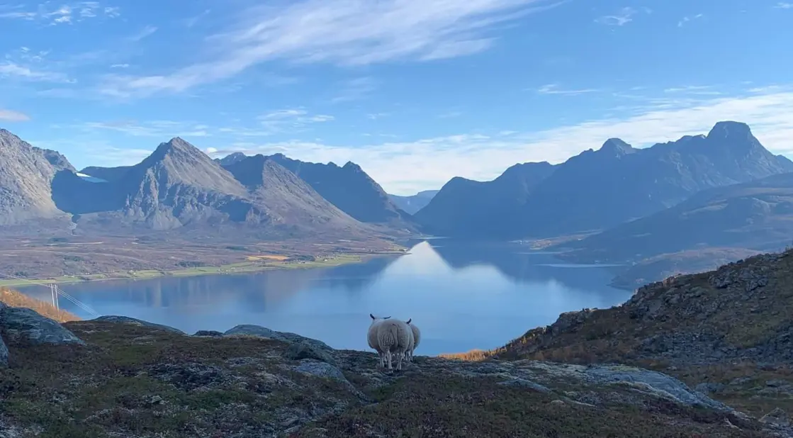 Fylkesnytt fra Troms og Finnmark 2/2022 - regjeringen.no