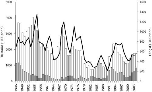 Figur 4.2 Nordaustarktisk torsk. Utvikling av totalbestand (tre år og eldre, søyler), gytebestand (skravert del av søylene) og fangst (heil line) frå 1946 til 2004.