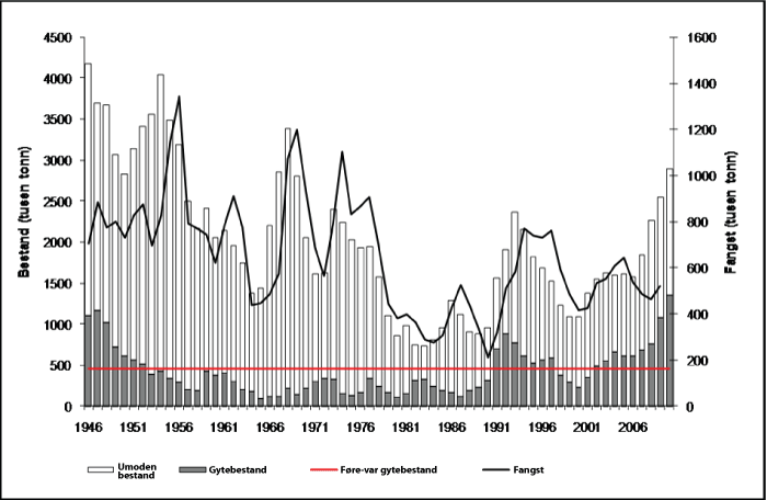 Figur 4.2 Utviklinga i bestand og fangst av nordaust-arktisk torsk 1946 – 2010. Bestandsstorleiken i 2010 er usikker sidan dette er ein prognose med ei vurdering av kor stor fangsten vart i 2009