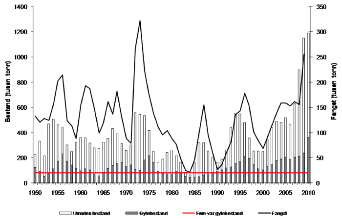 Figur 4.3 Utviklinga i bestand og fangst av nordaust-arktisk hyse 1950-2010. Bestandsstorleiken i 2010 er usikker sidan dette er ein prognose med ei vurdering av kor stor fangsten vart i 2009.