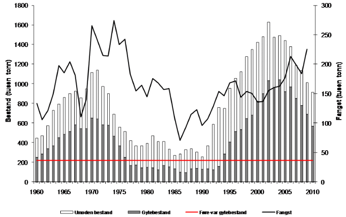 Figur 4.4 Utviklinga i bestand og fangst av sei nord for 62°N 1960 – 2010. Bestandsstorleiken i 2010 er usikker sidan dette er ein prognose med ei vurdering av kor stor fangsten vart i 2009