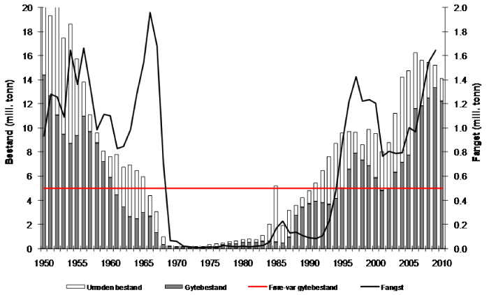 Figur 4.6 Utviklinga av bestand og fangst av NVG-sild 1950 – 2010. Bestandsstorleiken i 2010 er usikker sidan dette er ein prognose med ei vurdering av kor stor fangsten vart i 2009
