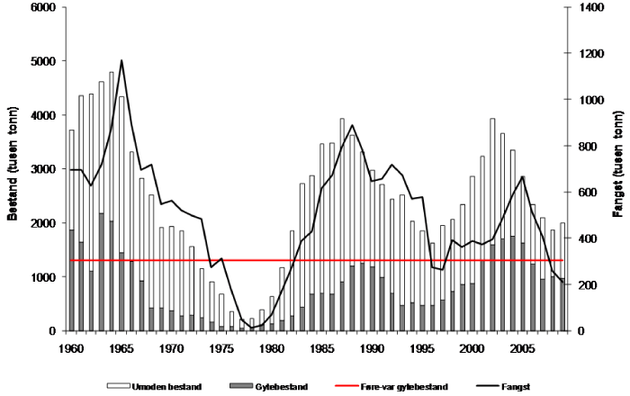 Figur 4.7 Utviklinga av bestand og fangst av nordsjøsild 1960 – 2009. Fangst og bestand i 2009 er prognosar.