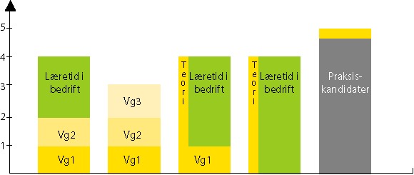 Figur 3.4 Alternative opplæringsmodeller
