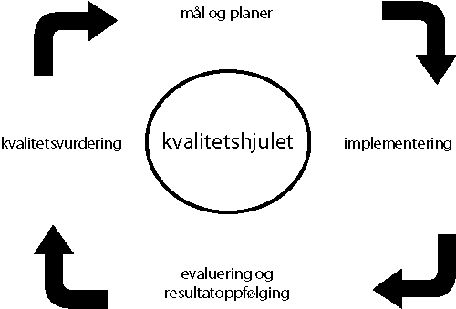 Figur 6.1 Kvalitetshjulet