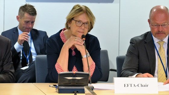 Norge har formannskapet på EFTA-siden i EØS-samarbeidet dette halvåret, ledet av EU-ambassadør Oda Helen Sletnes. Foto: Sara Svanemyr, EU-delegasjonen. 