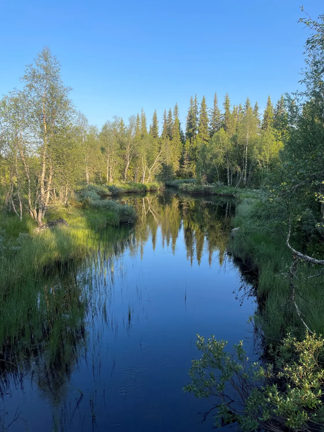 Naturbaserte løsninger